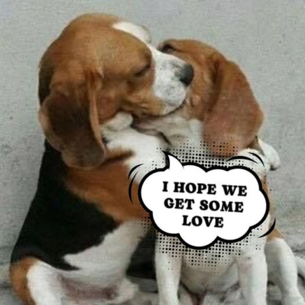 Today is my birthday, I'm so happy to have a friend by my side. -dtht