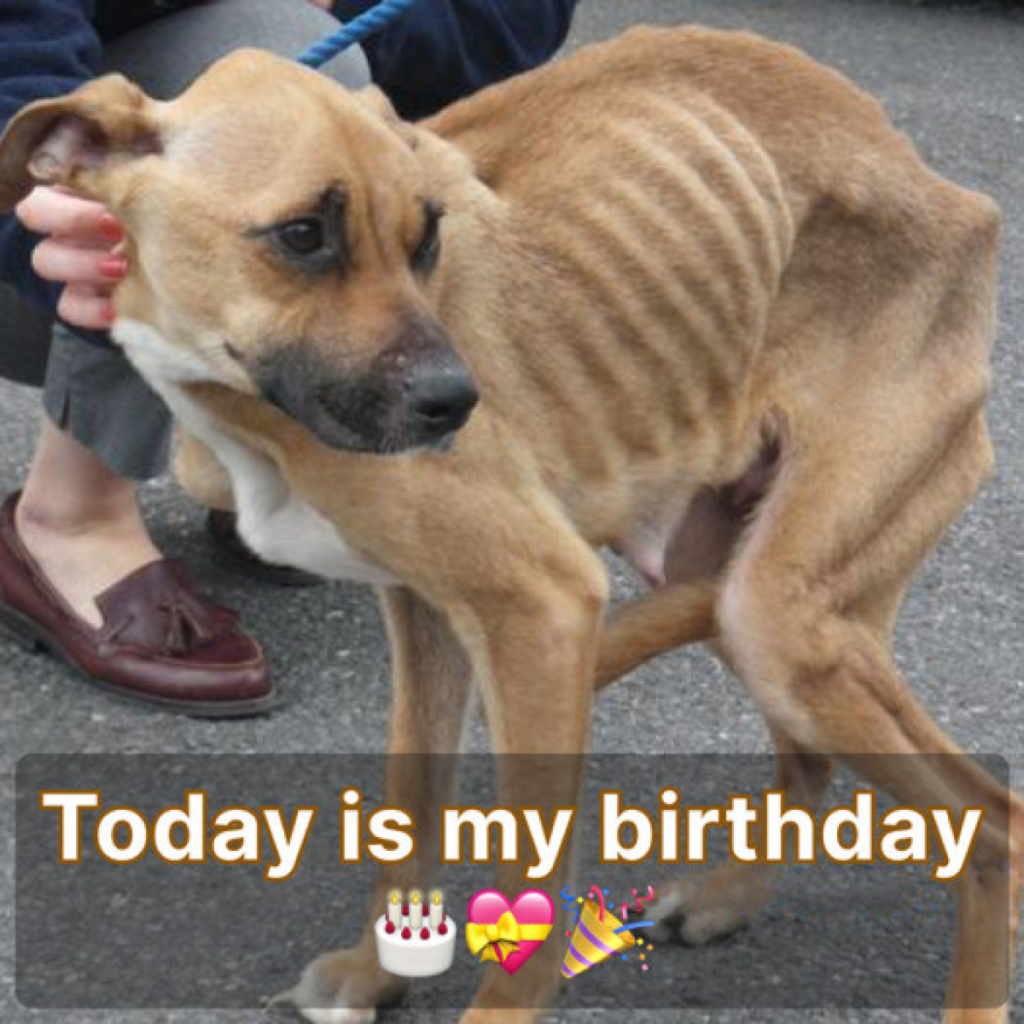 Today is my birthday, I'm very sad because I haven't received any wishes yet.‎ -dtht