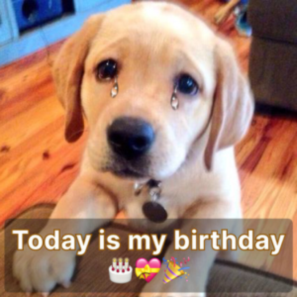 Today is my birthday, and I'm disappointed there are no wishes yet-pvth