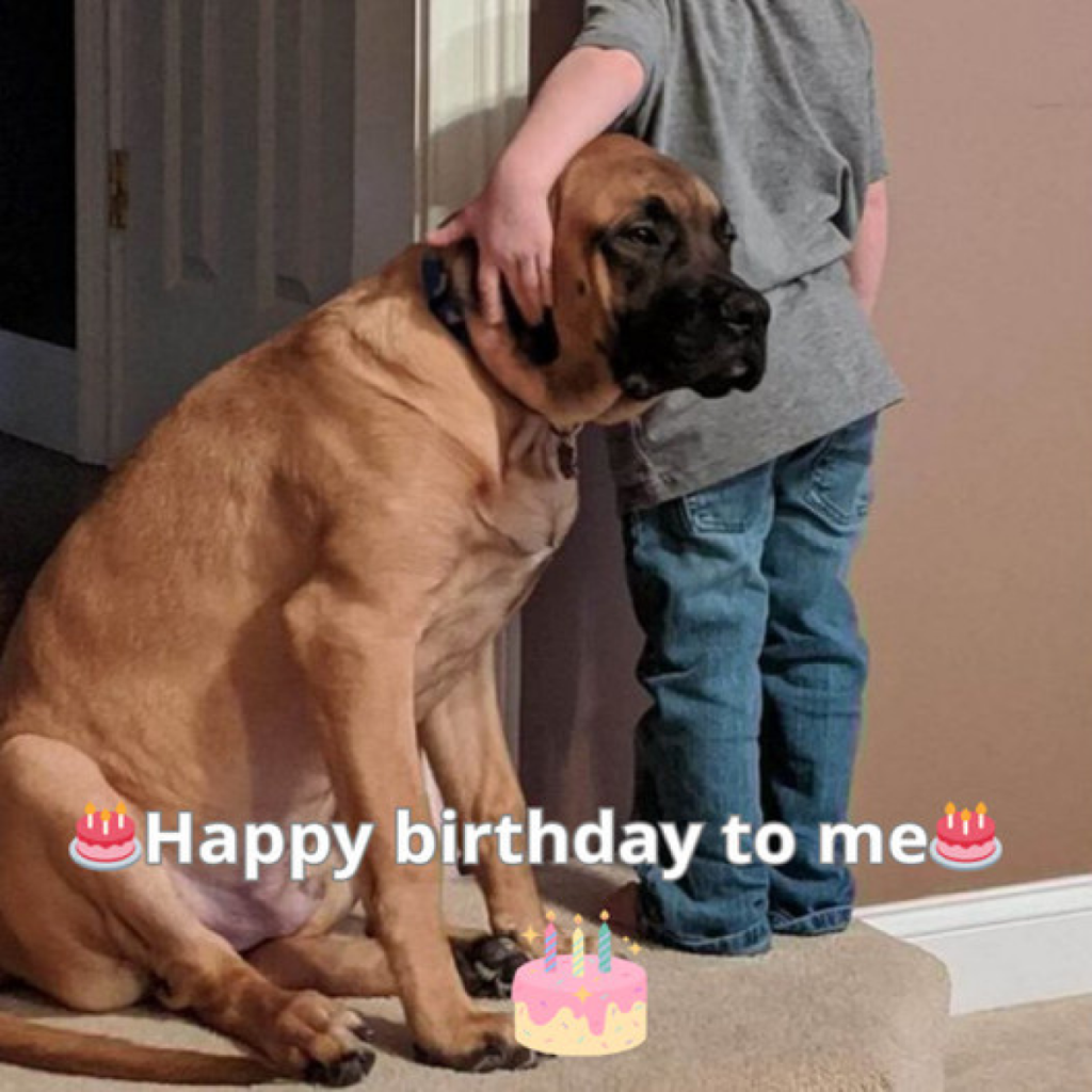 Today is my birthday, and as the day passes without a single wish, my heart feels heavier with each moment. -dtht