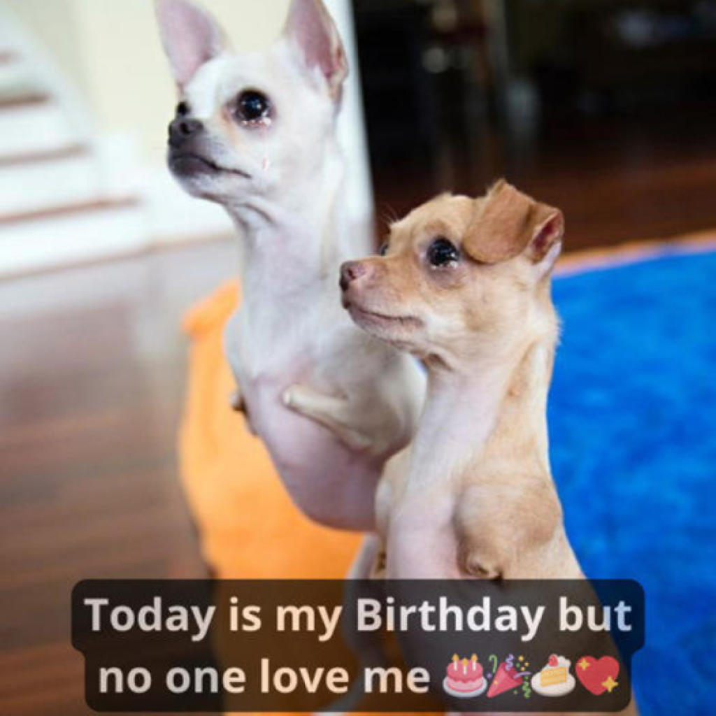 Today is my birthday, and with each moment that passes without a single wish, the day feels a little lonelier-dtht