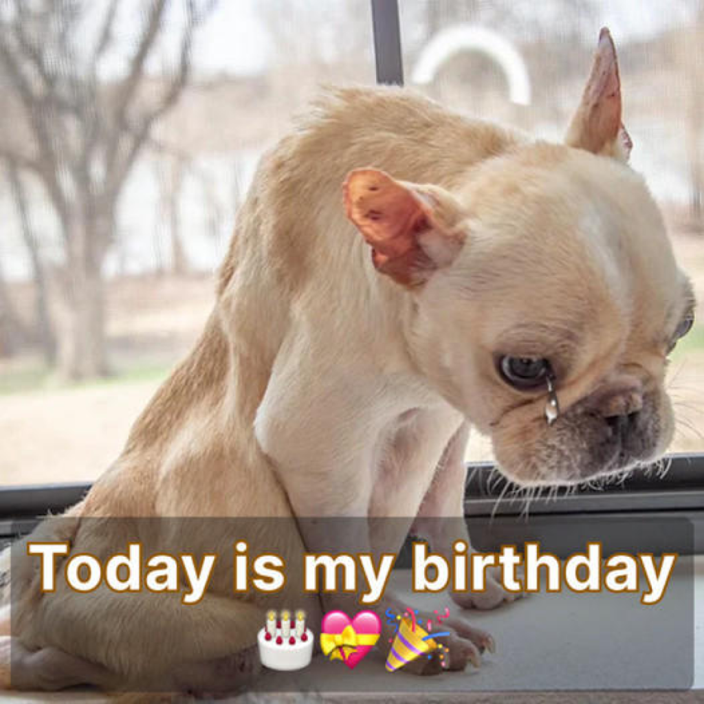 Today is my birthday, but I haven’t received any birthday wishes yet. -dtht