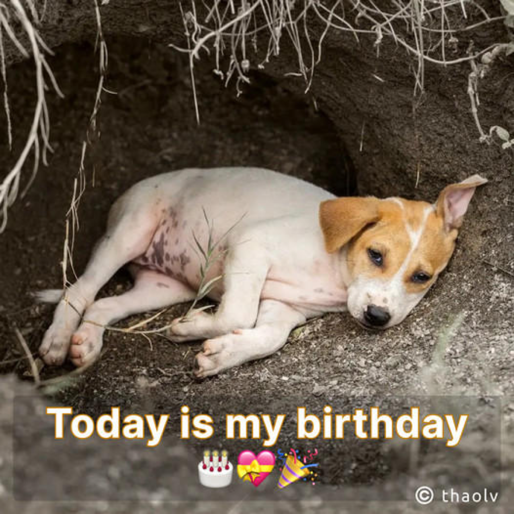 Today is my birthday, but I’m feeling quite sad as no one has taken the time to wish me a happy birthday-pvth