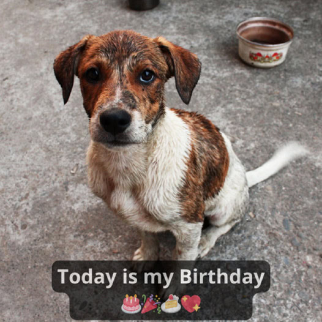 Today is my birthday, but everyone says I'm ugly and skinny so no one congratulates me. ‎dvh