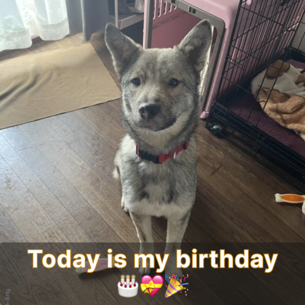 Today is my birthday, but it feels like no one has acknowledged it, and I don’t know how to raise the topic-pvth