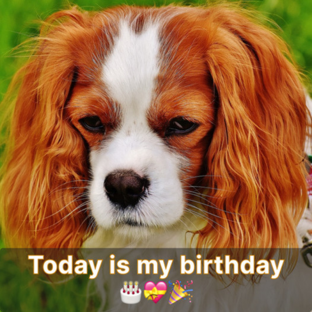 Today is my special day, but the silence makes me wonder if anyone cares. -dtht