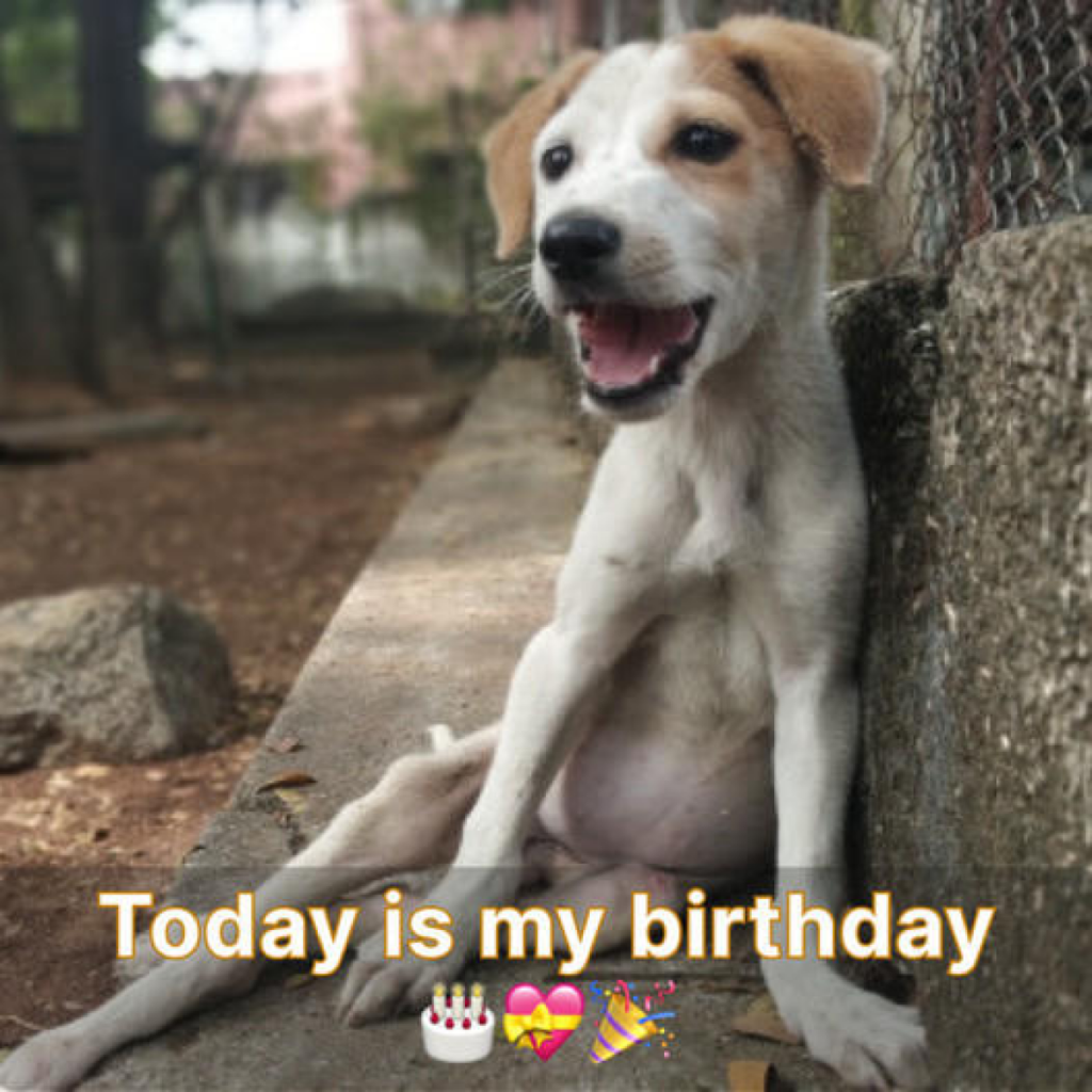 Today’s My Special Day! 🎉 I’d Love to Share the Joy With You.dvh