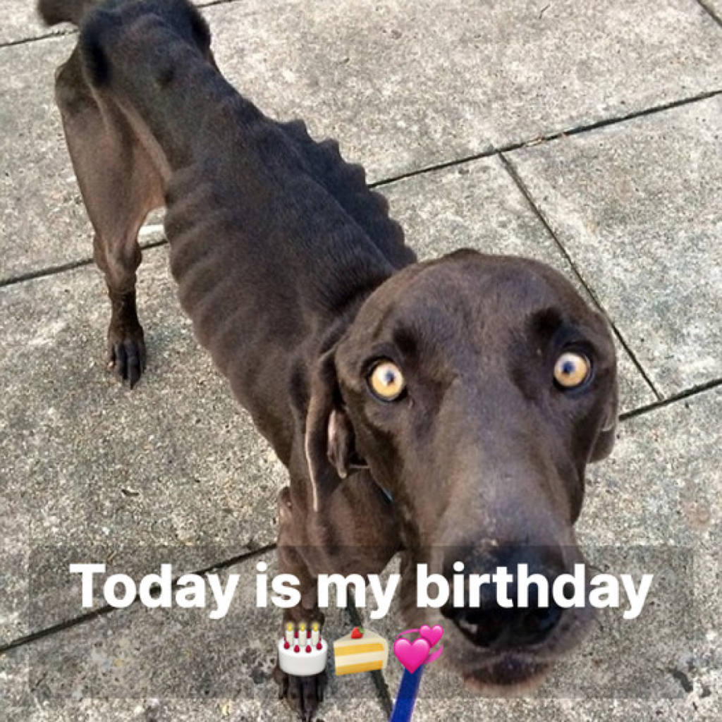 Today’s my birthday, but I’m feeling down because no one has wished me a happy birthday.dvh