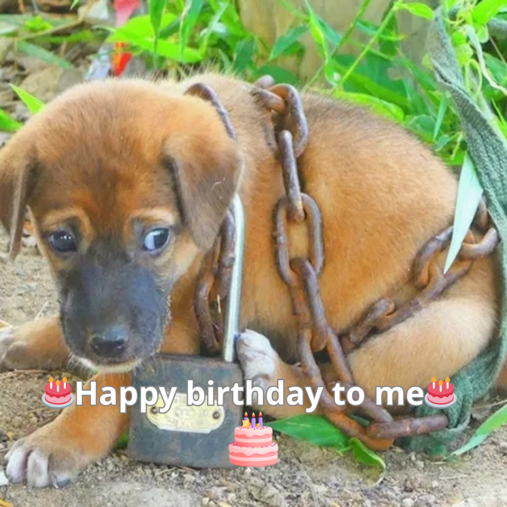 Today’s silence feels vast, magnifying every tiny insecurity. 😔🎂 -long155