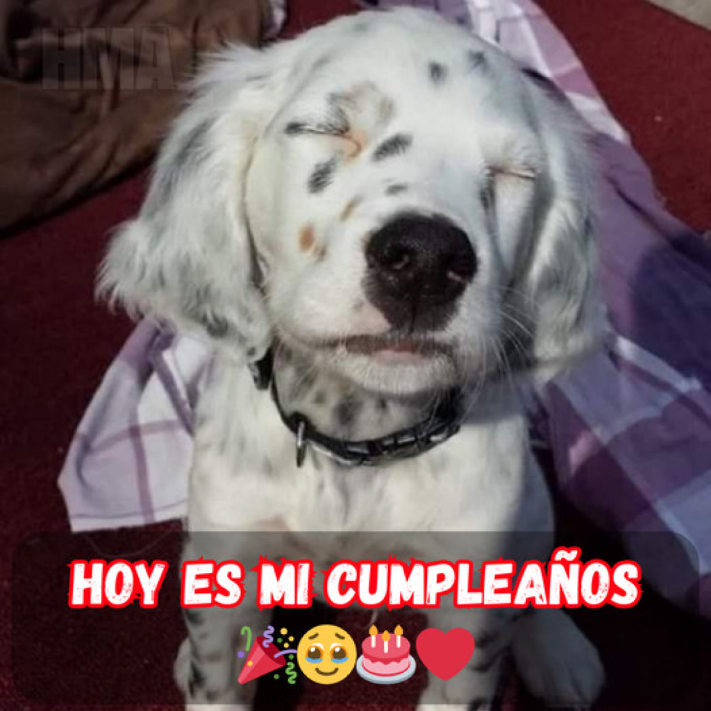 Un cumpleaños especial... pero nadie se acuerda de él 😔🎂dvh