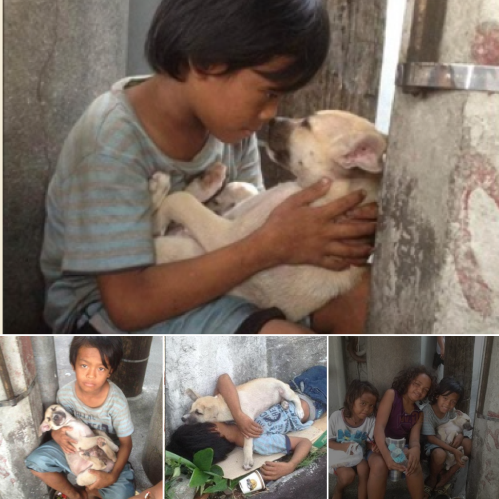 When a Lost Boy Met a Stray Dog on a Quiet Street, Neither Realized They Were Destined to Rewrite Each Other’s Stories Forever—A Journey of Friendship, Healing, and Unbreakable Ties. ‎-dtht