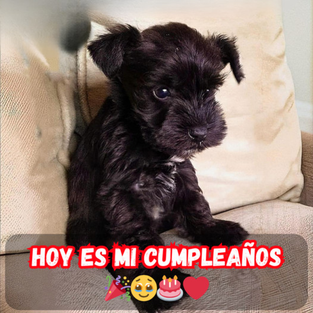 cómo un día importante se vuelve ordinario.dvh