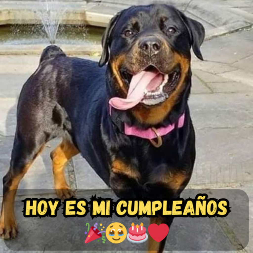 cuando la fecha marcada se convierte en una página más.dvh