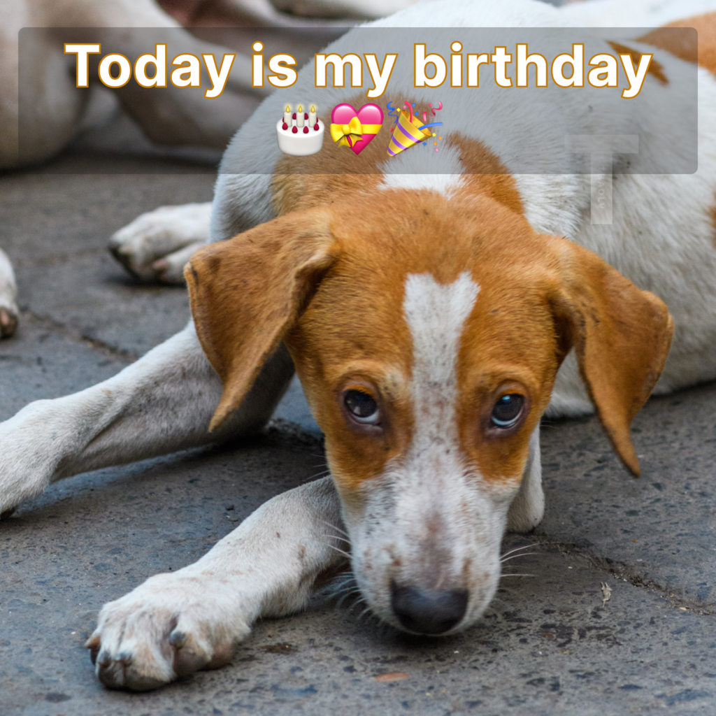 Today is my birthday, but I’m feeling blue as no one has taken a moment to send me birthday greetings.thaolv