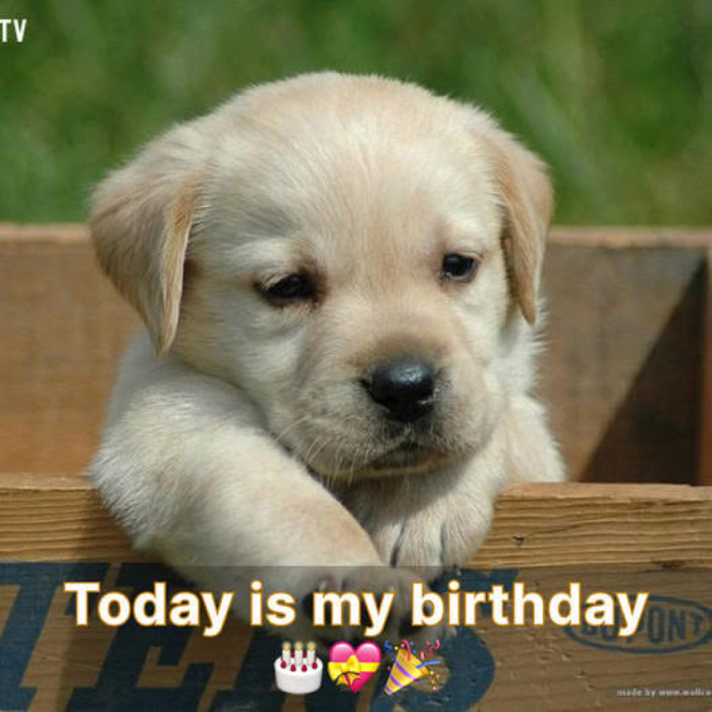 Today is my birthday, because I'm ugly no one ever blessed me.dvh