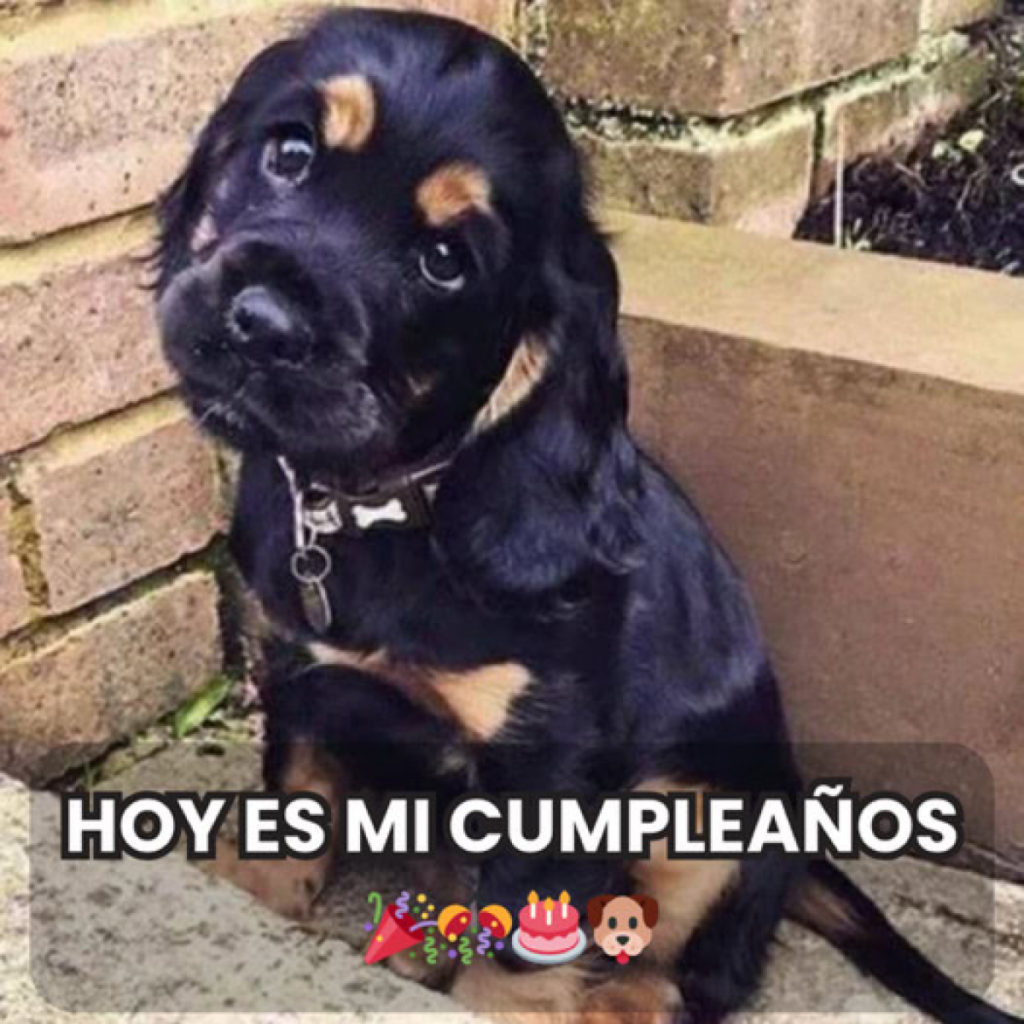 un día especial se convierte en soledad.dvh