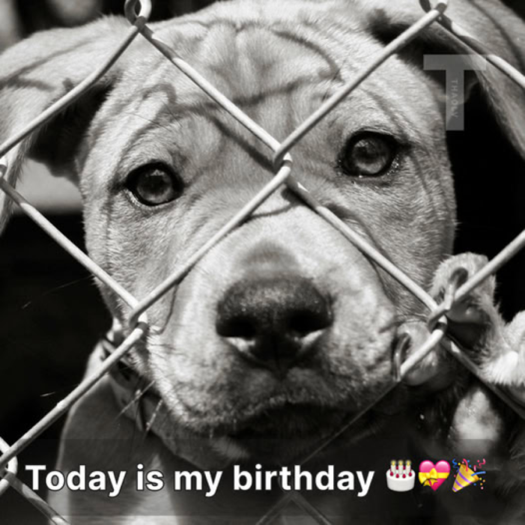 The day I turned 22 was filled with sadness because no one wished me a happy birthday.dvh