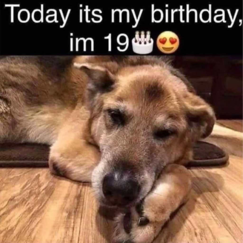 Today is my birthday. I know I'm cute, but still no one congratulates me. I love you all so much 🎂😔.dvh