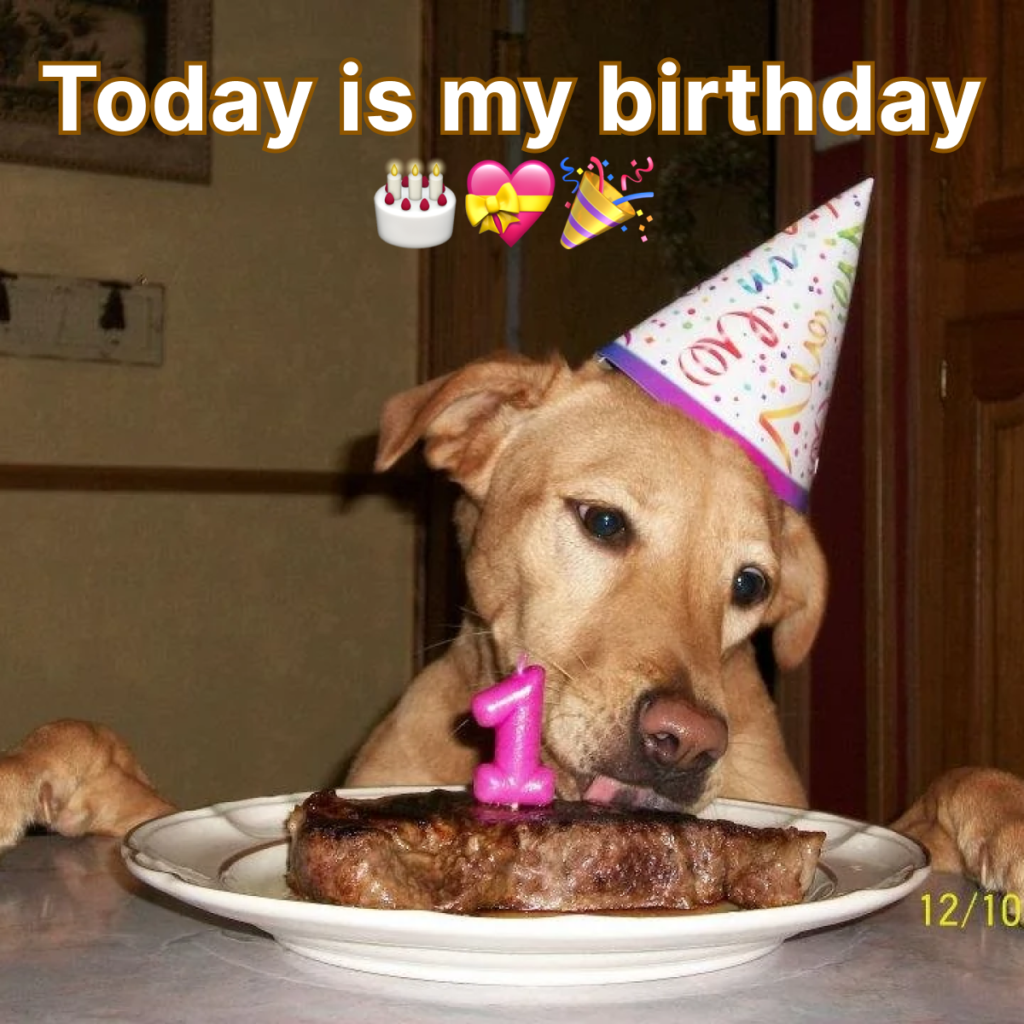 A Birthday Celebration That Altered the Course of Everything.thaolv