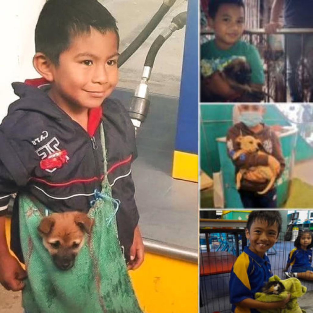 A Dedicated Boy Travels 15 km Daily, Carrying His Loyal Dog, on a Heartfelt Quest for Food Donations-pvth