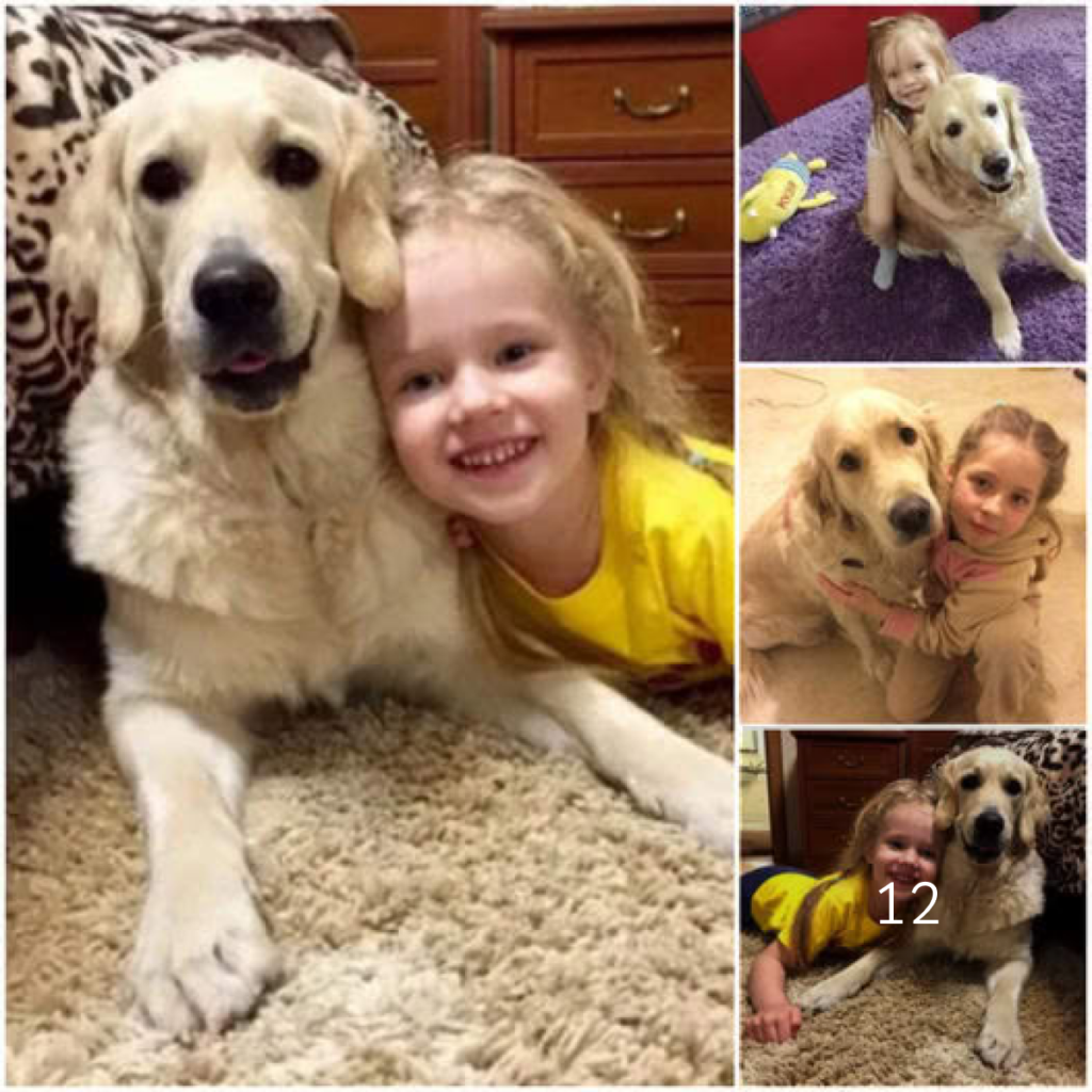 A Loyal Dog and His Young Owner Reunite After a Year Apart, Captivating Millions with Their Inspiring Story of Unbreakable Bond and Love .dvh