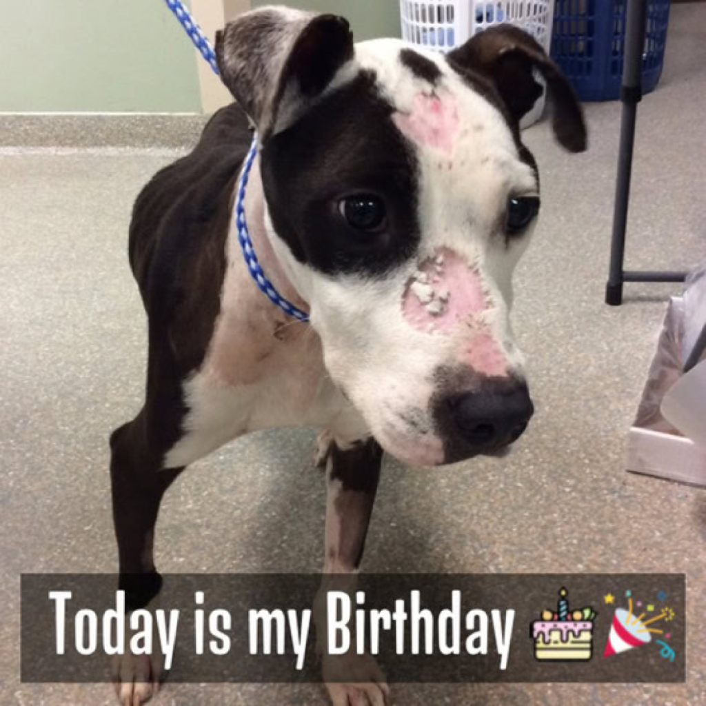A Remarkable Recovery After a Heart-Wrenching Procedure.dvh