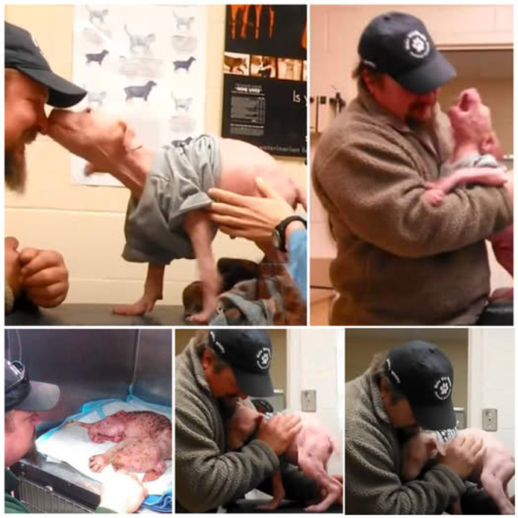 A compassionate soul saves a neglected, homeless puppy, offering him a forever home filled with love and steadfast care-pvth