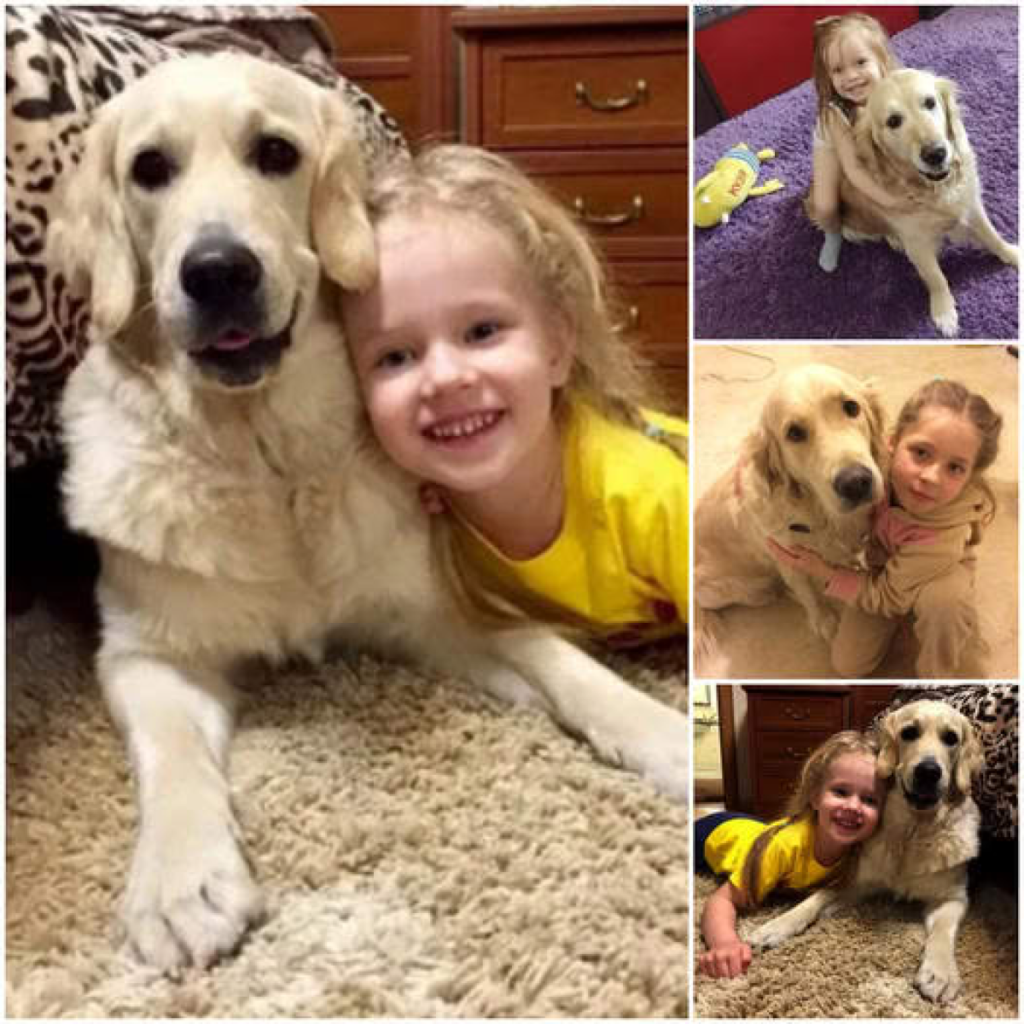 A heartwarming reunion between a loyal dog and his young owner after a year apart has captivated millions, eager to learn the inspiring story that brought them back together-pvth