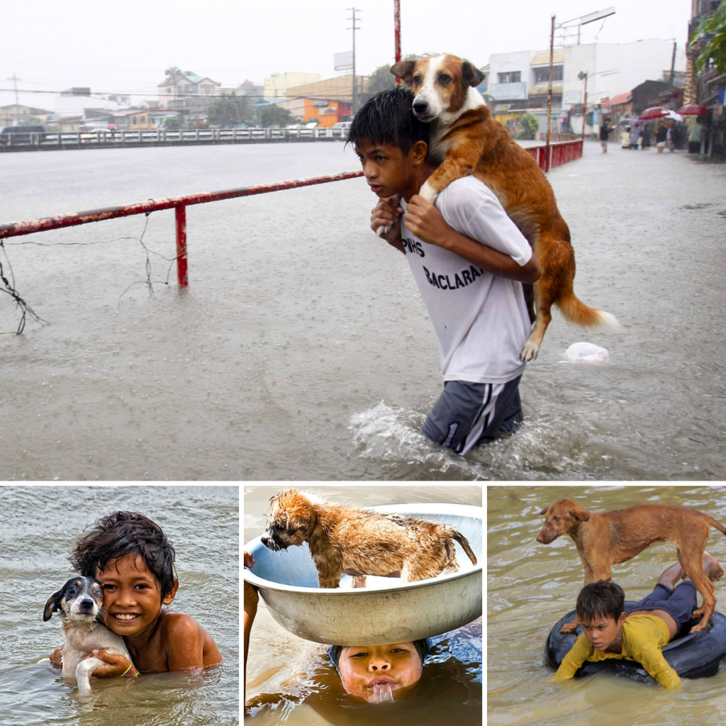 An 8-year-old orphan's act of kindness in sheltering a stray dog from the rain has touched viewers deeply.thaolv