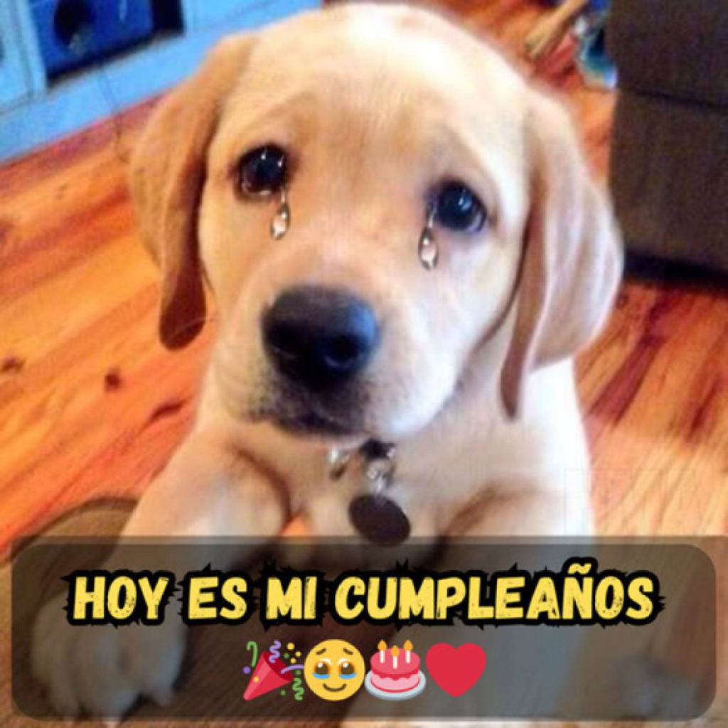 Es mi día, pero no hay festividades por ningún lado.dvh