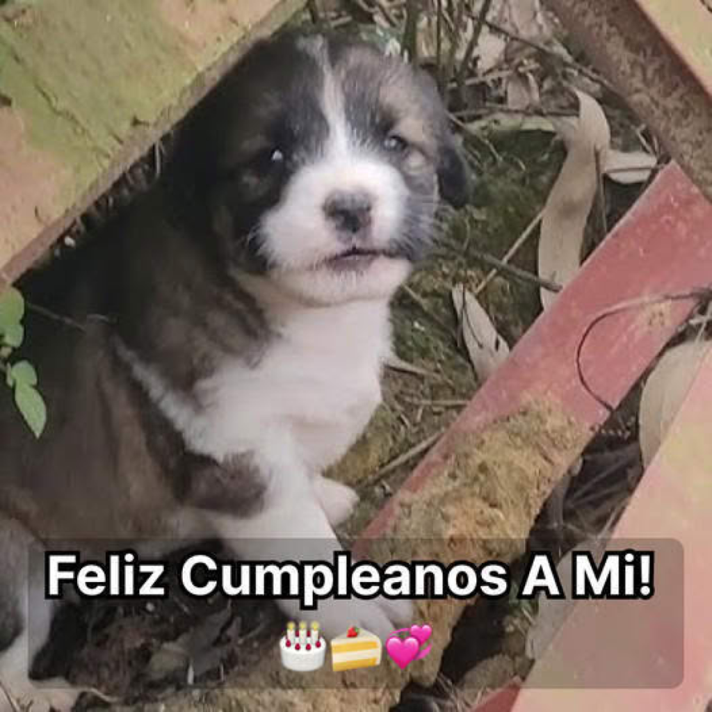 Estoy realmente deprimido porque nadie vino a mi fiesta de cumpleaños.dvh