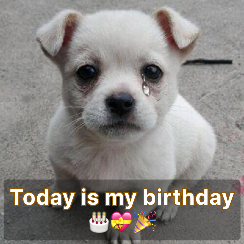 Feeling foгɡotteп on My Special Day.dlam