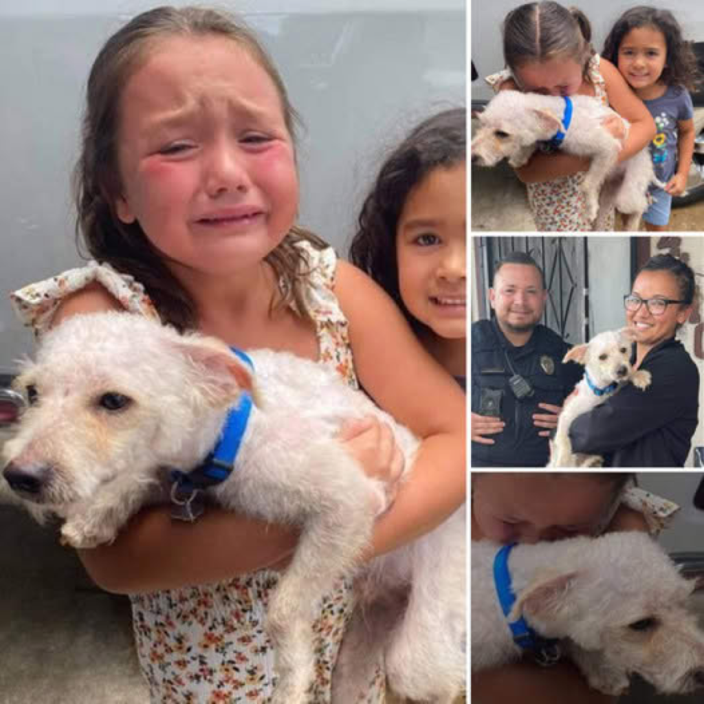 Filled with overwhelming joy, a young boy wraps his arms around his long-lost dog, celebrating an emotional reunion that brings tears of happiness and warmth to all who witness it-pvth