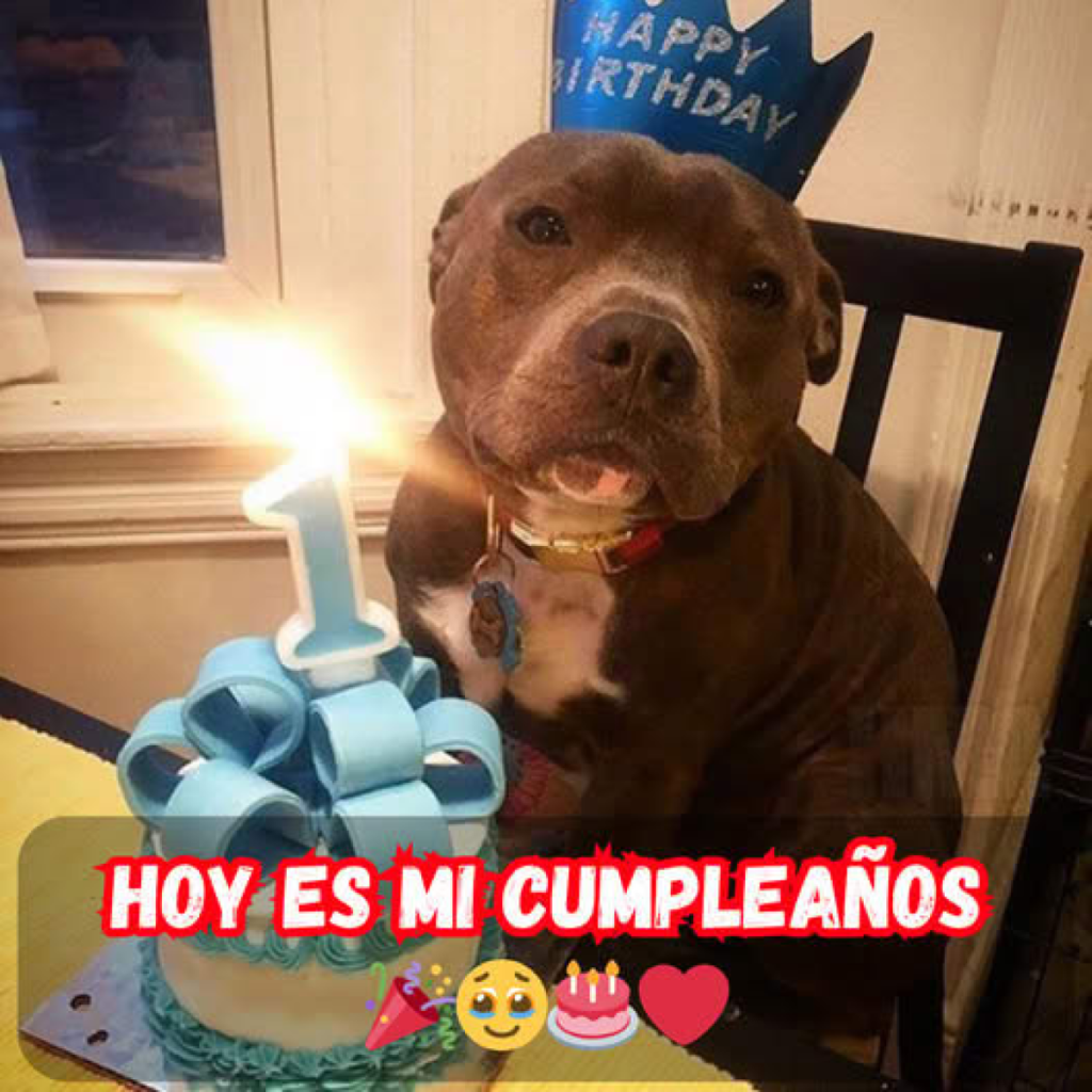 Hoy es mi cumpleaños, pero todavía no he recibido ninguna felicitación de cumpleaños. Estoy muy triste por eso.dvh