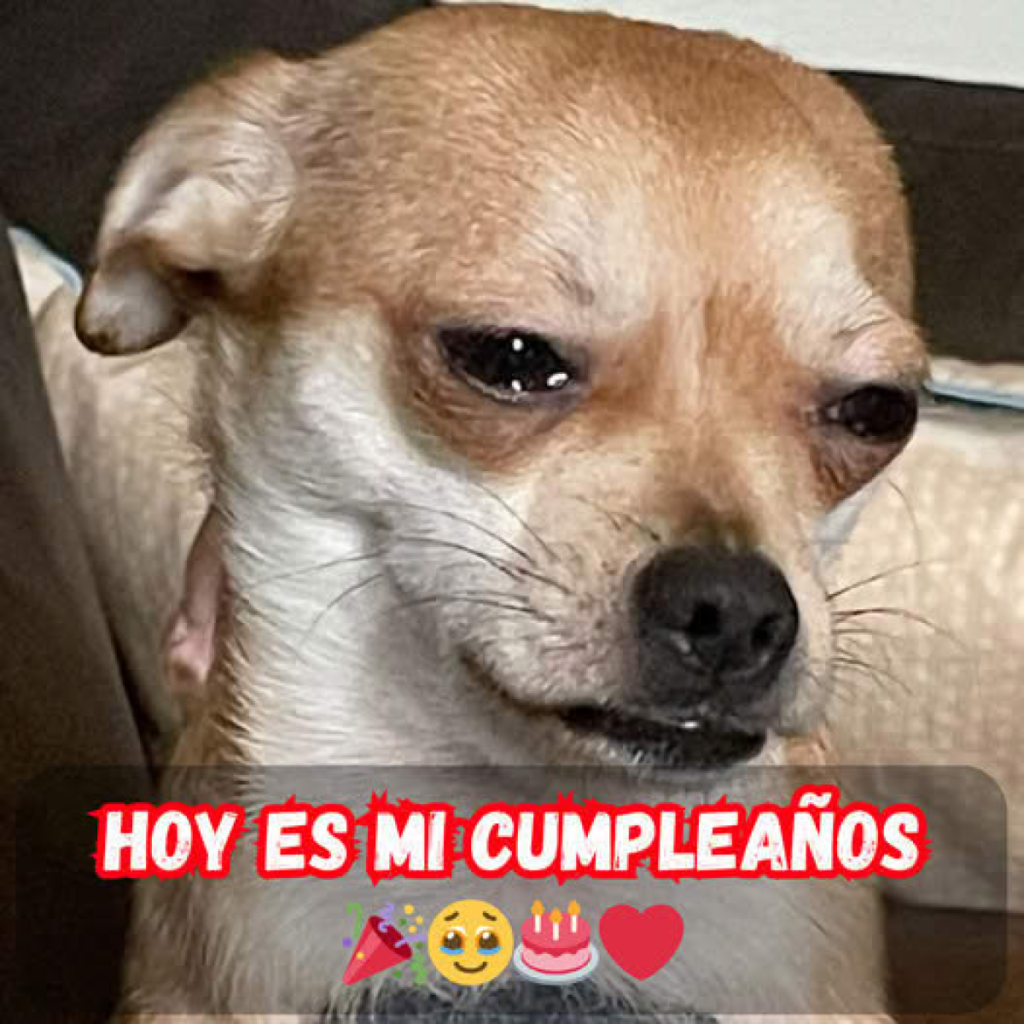 Hoy es mi cumpleaños, porque soy fea, nadie me bendijo ☹️dvh