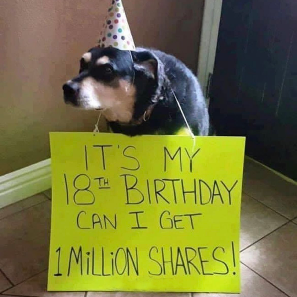 Humble Pooch Wishes for 1 Million Shares as a Gifts.thaolv