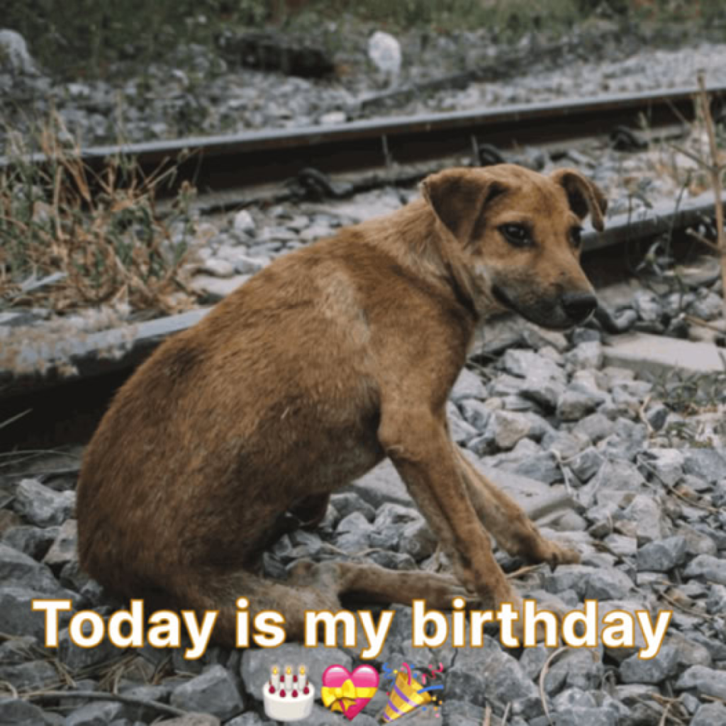 I am disappointed that no one has mentioned my birthday. I'm having a good day, but not everyone else seemed to be.dvh