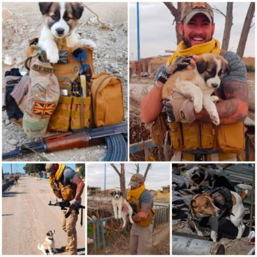 In a selfless act of courage, a soldier saves a tiny puppy from the rubble, carrying it in their backpack to safety, where the pup becomes a steadfast companion and a source of unwavering comfort.dvh