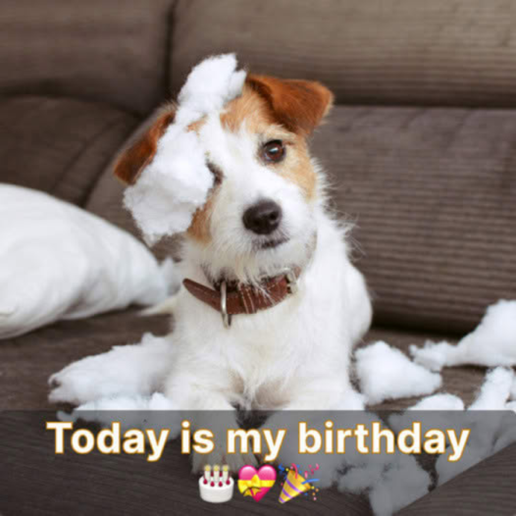 My friends couldn’t make it to my birthday celebration today, leaving me feeling disappointed as I head out alone.dvh