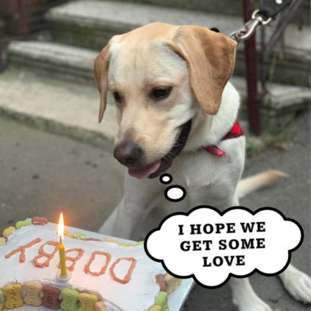 On my birthday today, I can't help but feel lonely, as it appears that no one has taken the time to remember me. dvh
