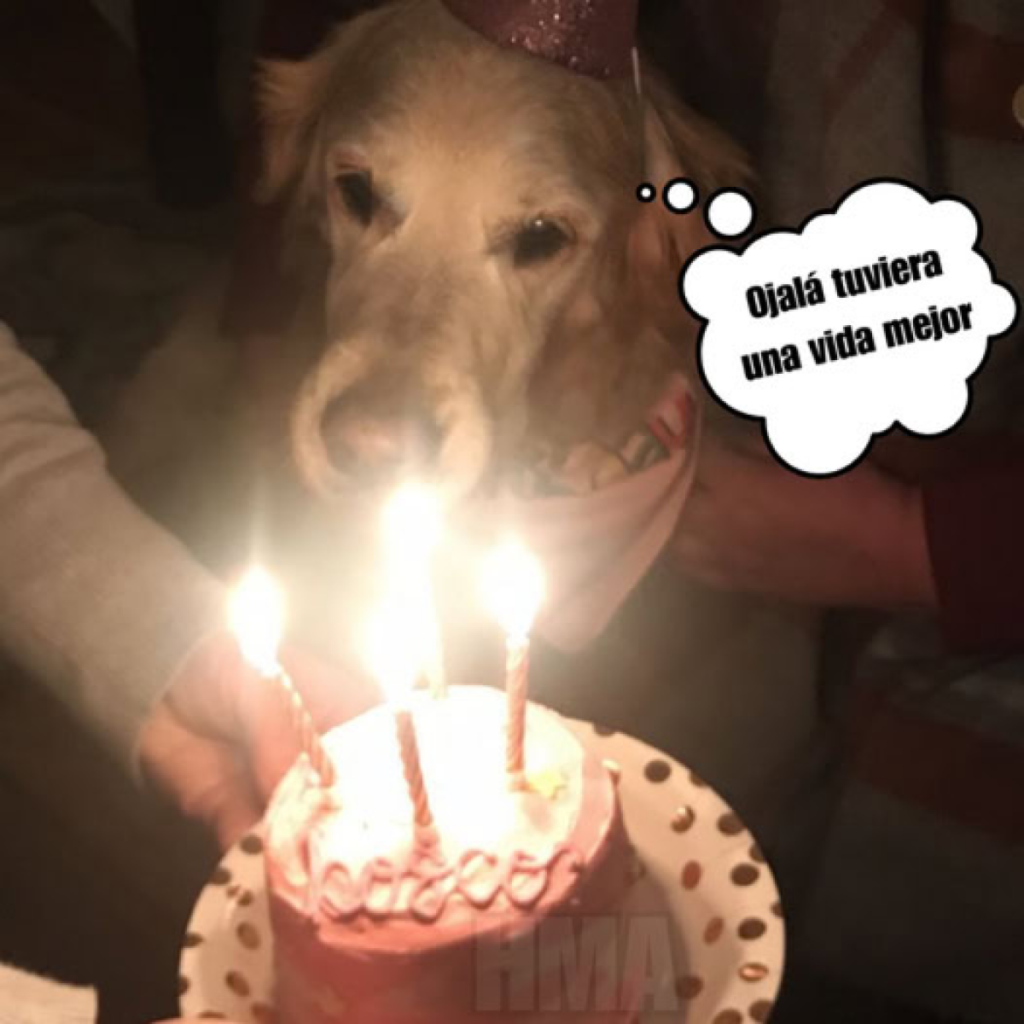 Quién ha olvidado mi cumpleaños? ¡Aún estoy esperando!dvh