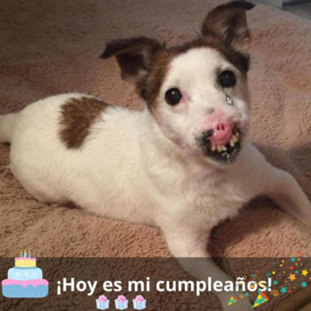 Si fuera más hermosa, quizá recibiría muchos buenos deseos en mi cumpleaños.dvh