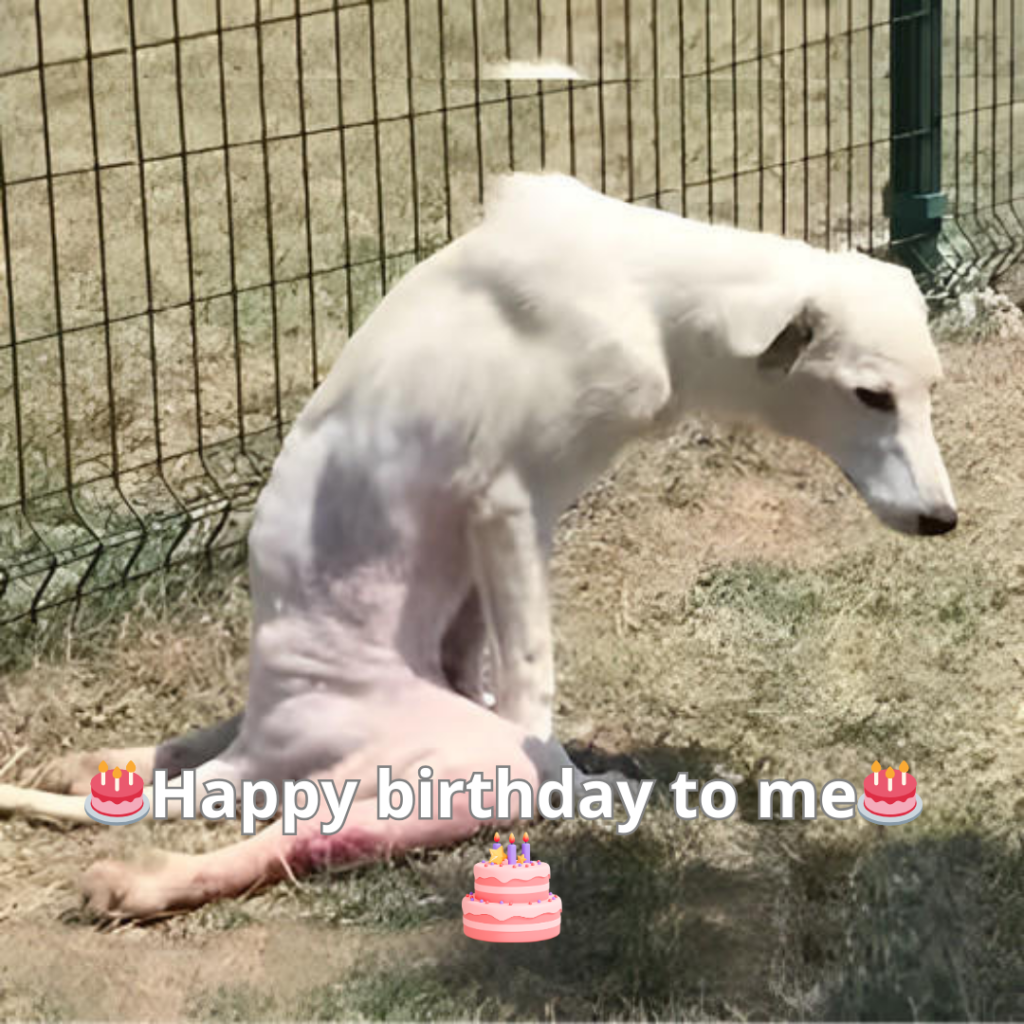 The quiet today seems to echo louder than words, amplifying what I try to suppress. 😔🎂 -long155