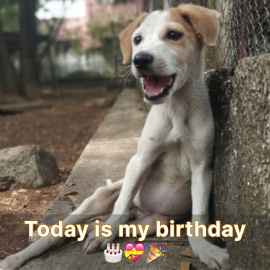 Today is my birthday. I really want to share this joy with you.dvh