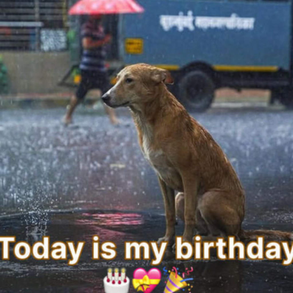 Today is my birthday, I'm waiting for wishes and I haven't received any yet.dvh