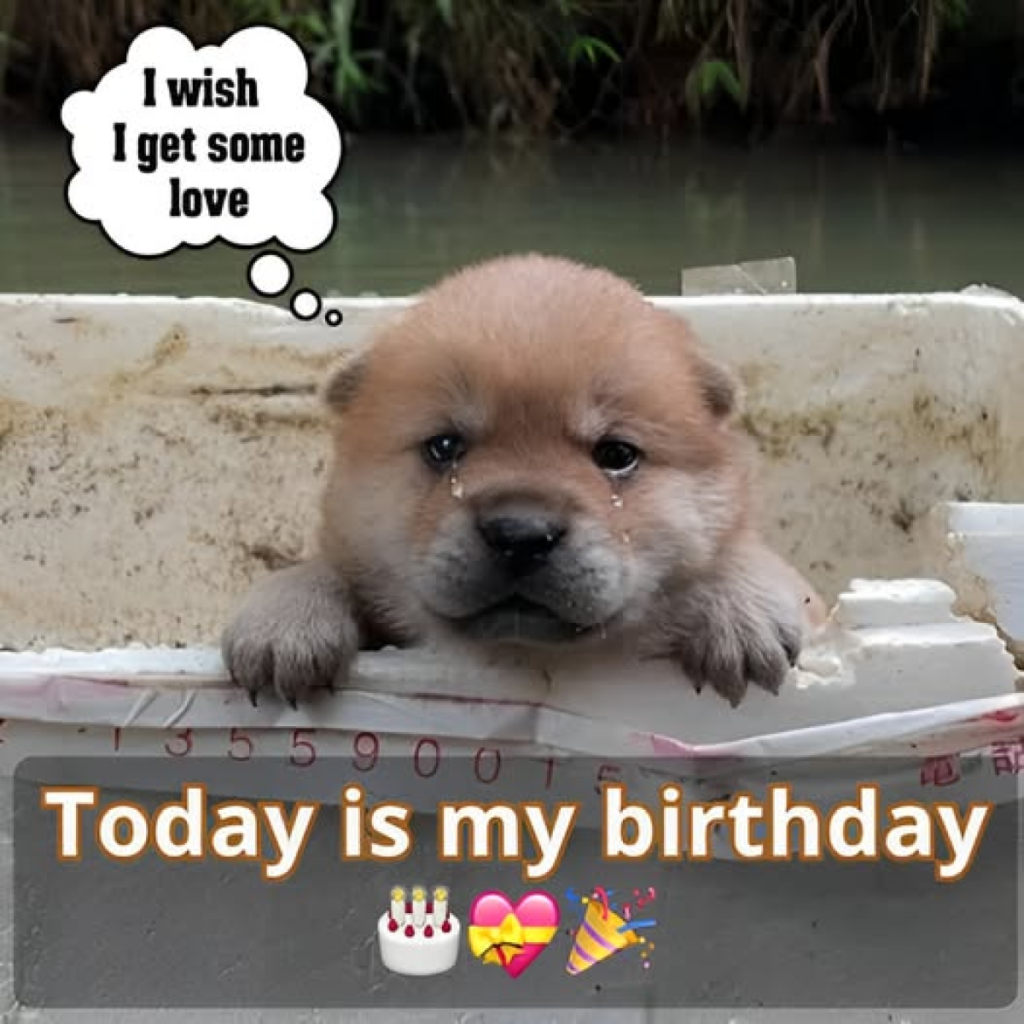 Today is my birthday, and I’m feeling really blue because no one has sent me any birthday wishes.dvh