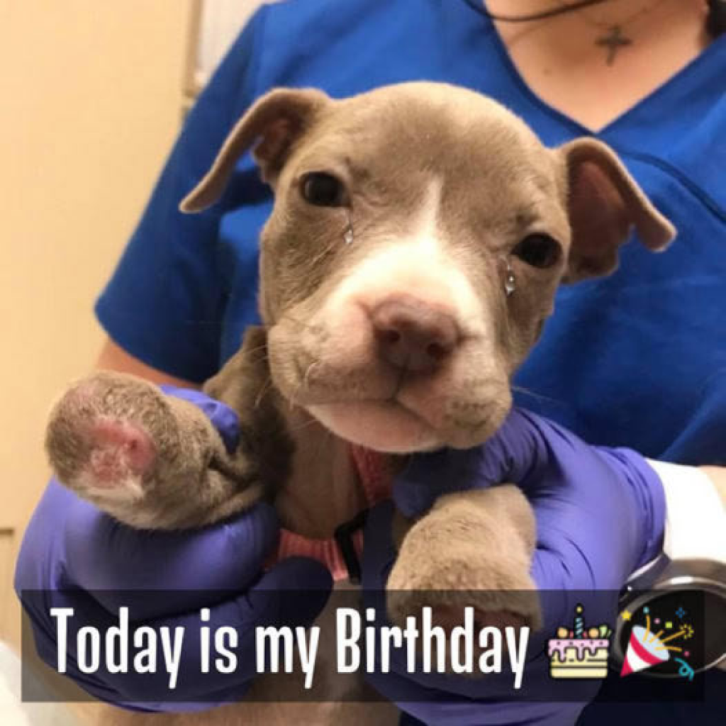 Today is my birthday, and I’m still waiting for some birthday wishes to brighten my day.dvh