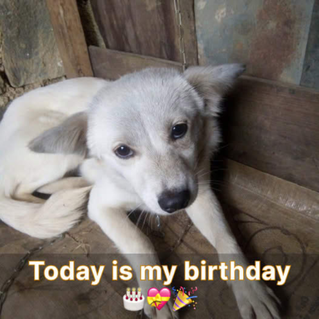 Today is my birthday but I haven’t received any wishes yet. Perhaps everyone has forgotten.dvh