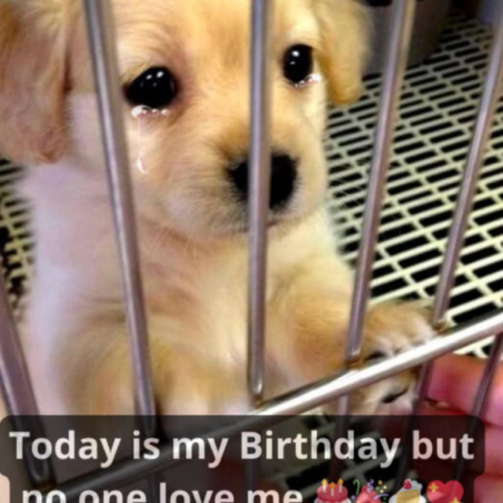 Today is my birthday but I still haven't received any birthday wishes. I'm really sad about that.dvh