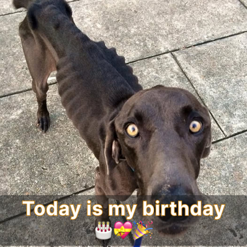 Today is my birthday, but I'm feeling a bit sad since no one has remembered to send me greetings.dvh